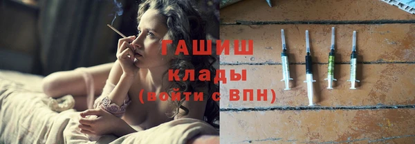 шишки Саяногорск