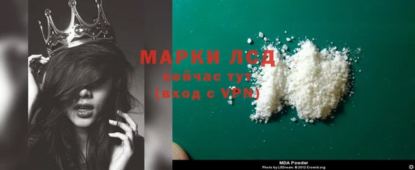 шишки Саяногорск