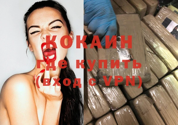 шишки Саяногорск