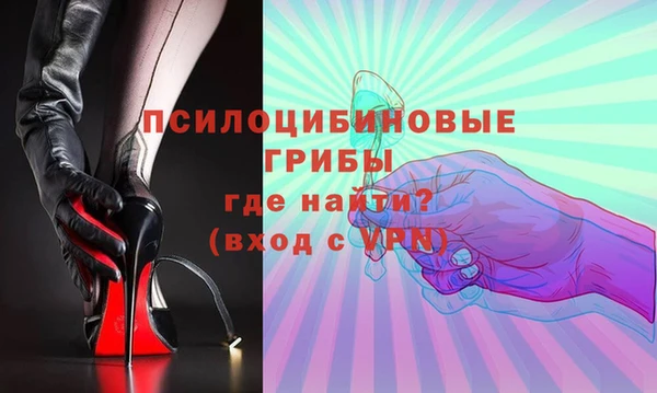 дживик Сатка