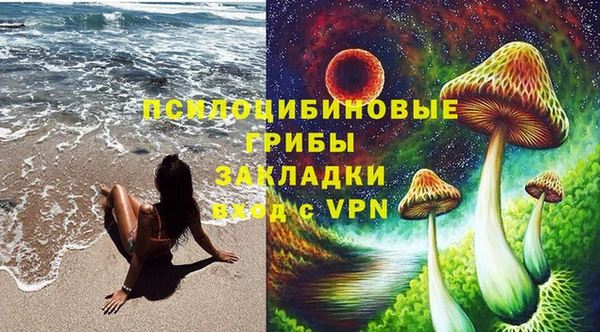дживик Сатка