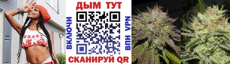 Бошки марихуана гибрид  гидра вход  Всеволожск 